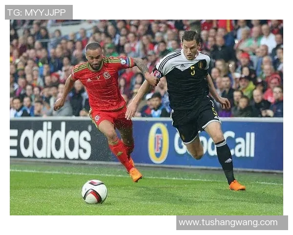 中国与威尔士足球对决足彩分析及投注建议分享