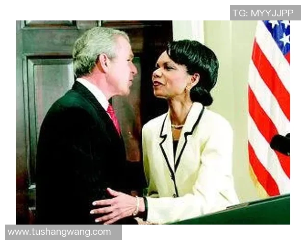 赖斯的崛起与挑战：解析其在国际政治中的影响力与未来发展方向